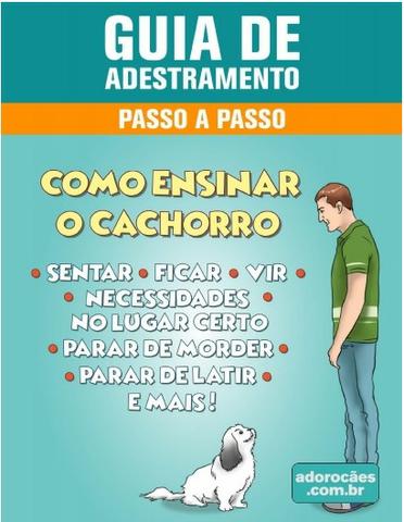 Guia de Adestramento de cães - Passo a Passo