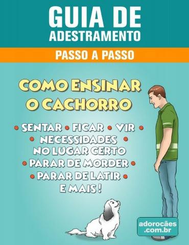 Guia de Adestramento de Cães - Passo a Passo