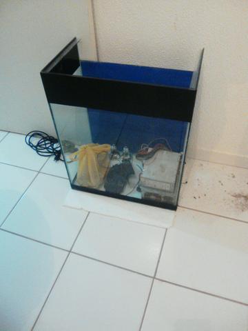 Estou vendendo arquario