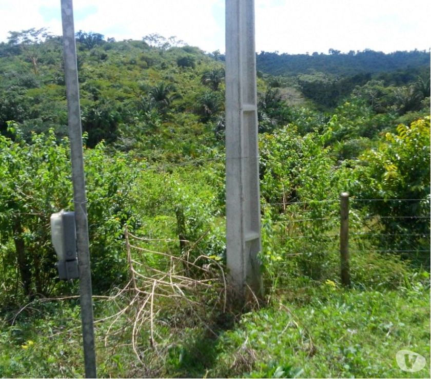 VENDE-SE FAZENDA NO PARÁ ABAIXO DO VALOR - 