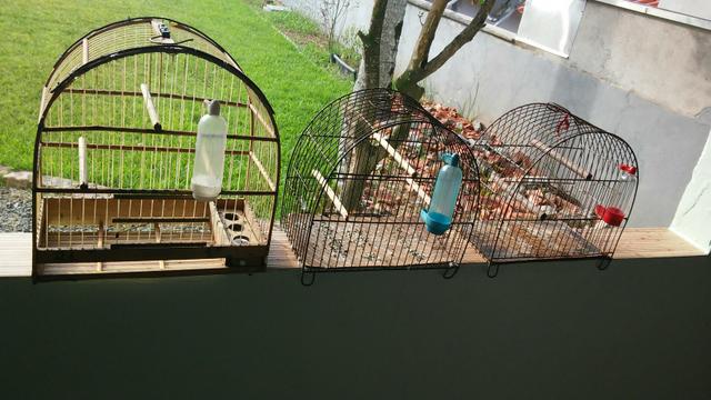 Vendo 3 Gaiolas Usadas