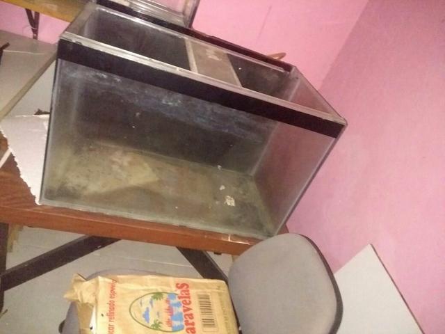 Vendo dois aquario um com movel e tudo