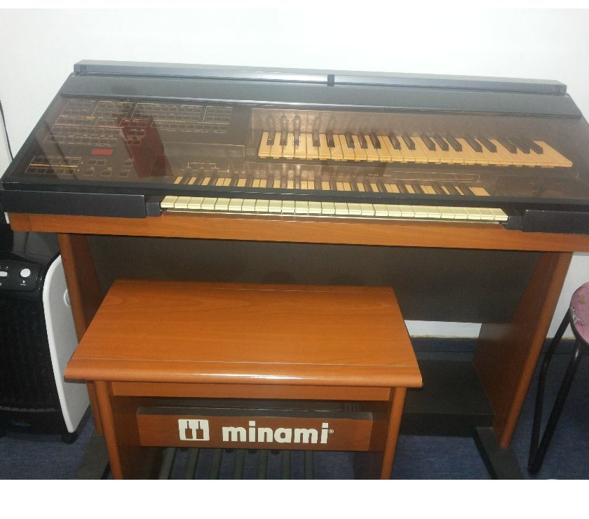 Vendo Òrgão eletrônico Minami MDX15 Serie Ouro