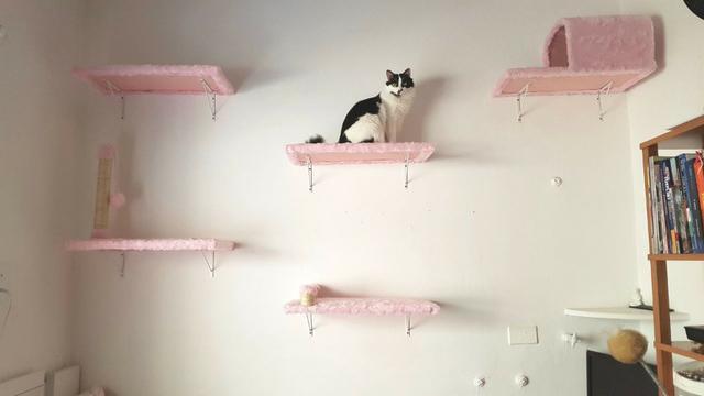 Prateleiras Gatil para instalação em parede