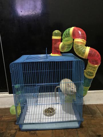 Rato Twister com gaiola