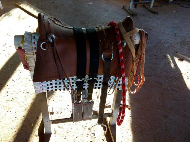 Arreio simples completo