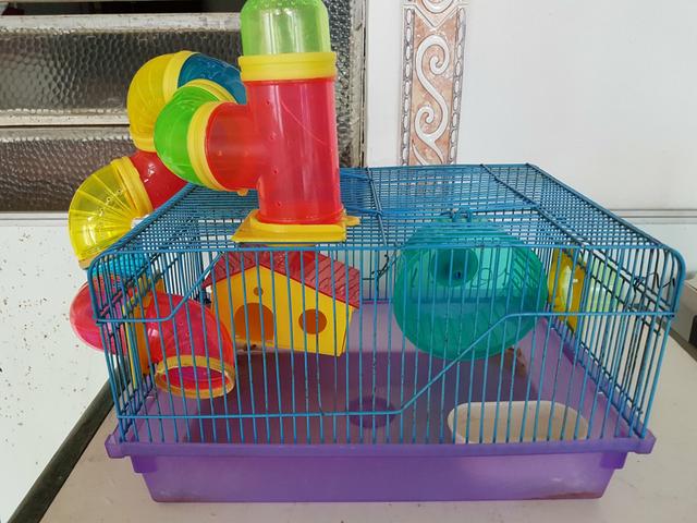 Gaiola para hamster