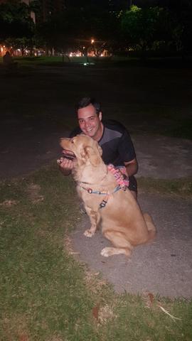 Passeador de Cães - Dog Walker