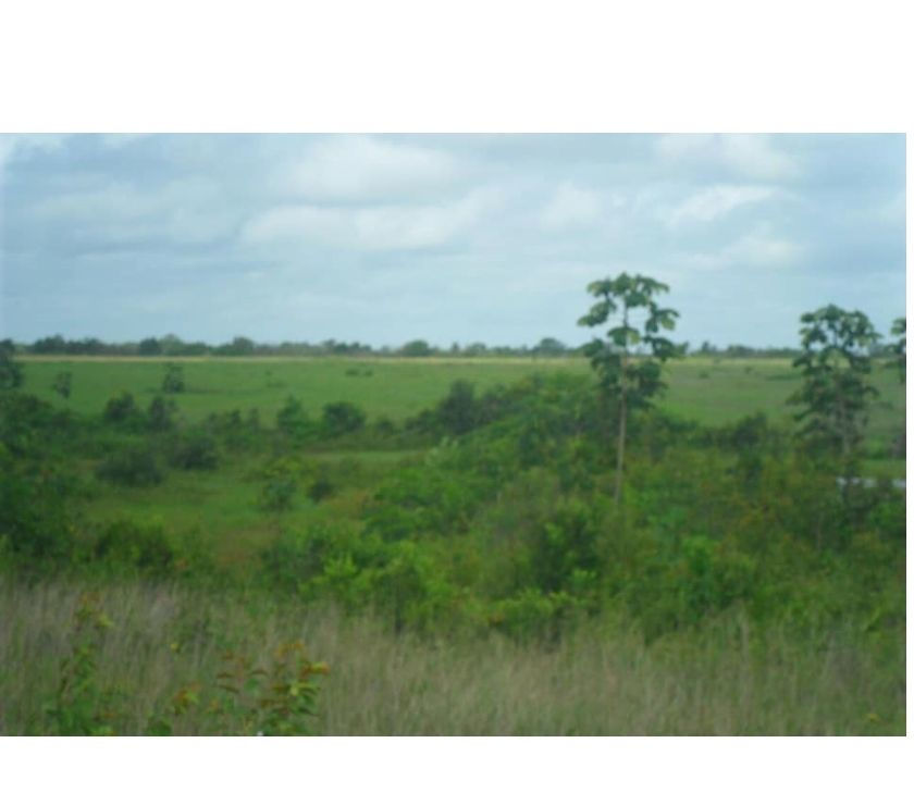 fazenda próximo Bragança Pará, com 418 alqueires 3