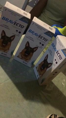 Carrapaticida Bravecto para cães de 20 a 40kg