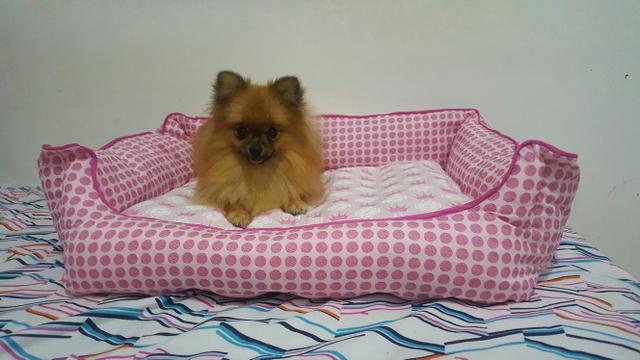 Camas pet cachorro e gato