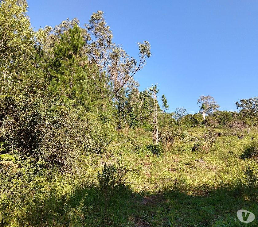 Chácara  m² - Mato Fino - Gravataí - RS