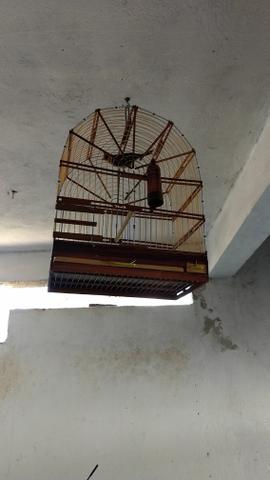 Vendo gaiolas usadas