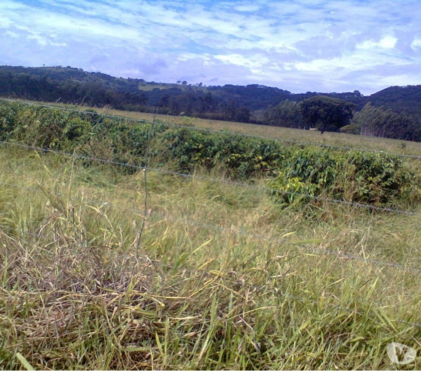 Fazenda 110 alqueires Claraval - MG