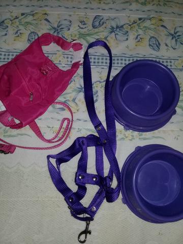 Coleiras e potes de comida e água para cachorro
