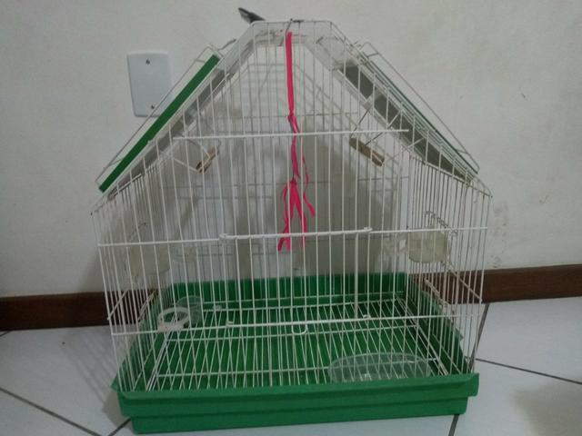 Gaiola para calopsitas