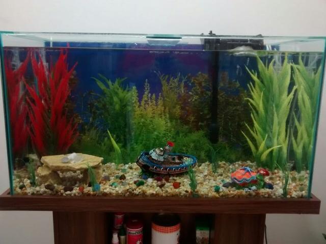 Aquário com móvel