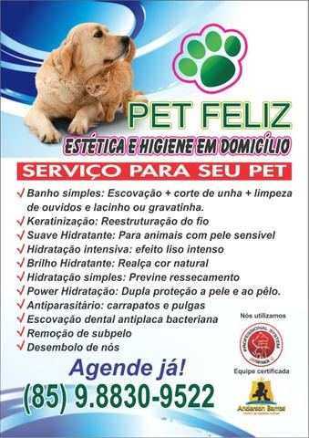 Banho e tosa a domicílio