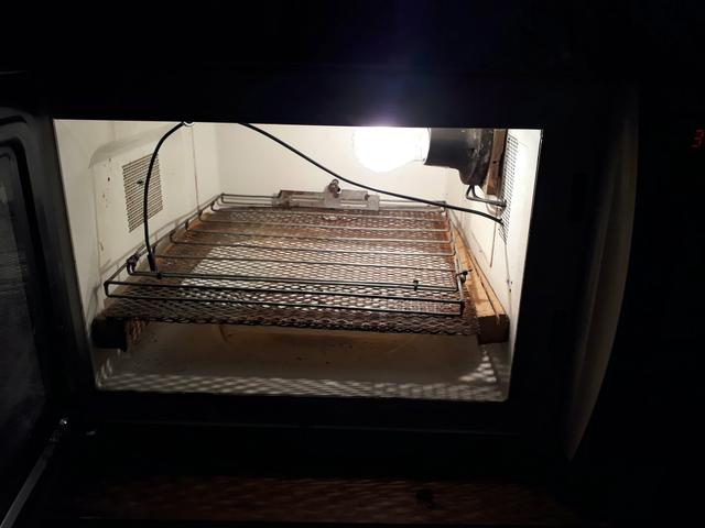 Chocadeira de microondas