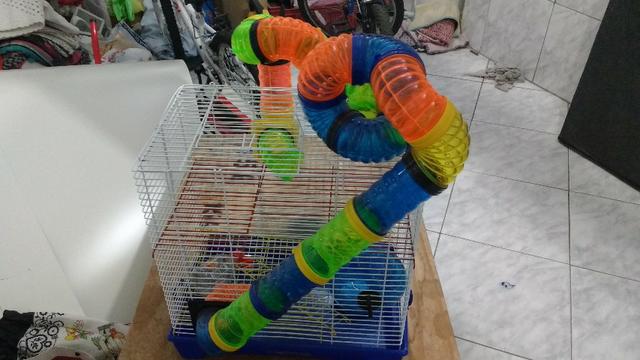 Gaiola de Hamster