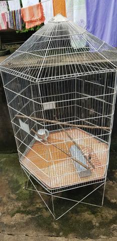 Gaiolas hamster / periquitos