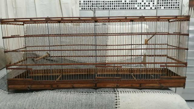 Voador em ótimo estado