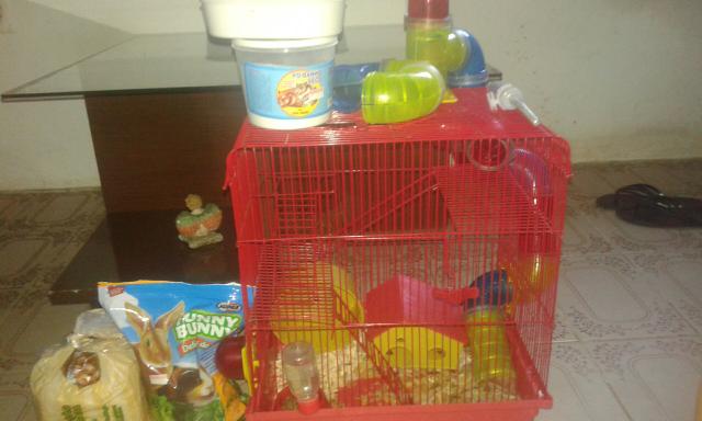 Gaiola e hamster