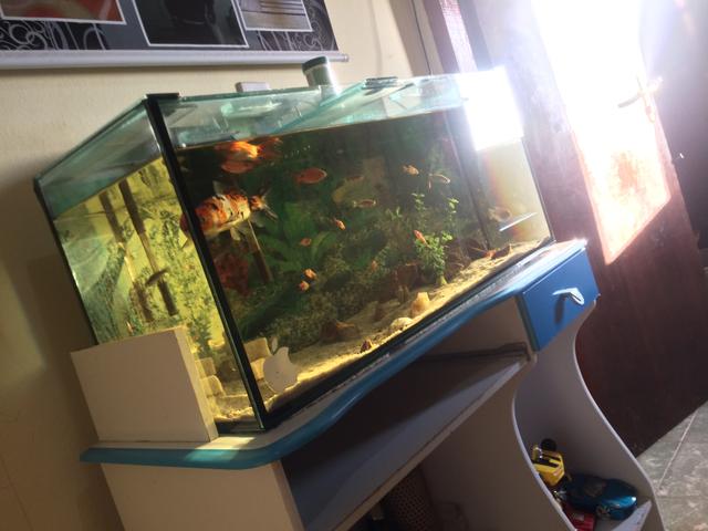 Aquário super reforçado