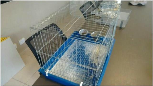 Gaiola chinchila, coelho, etc - desocupar espaço