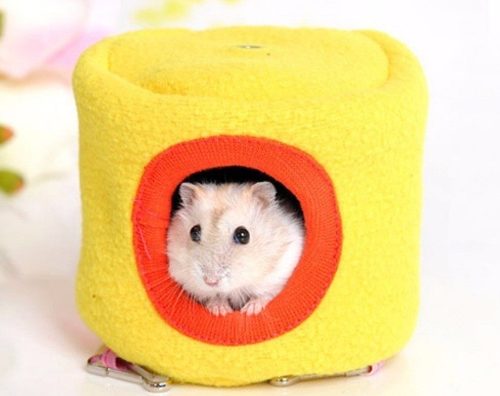 Toca Casinha Hamster Pequenos Roedores Amarela Azul Marrom