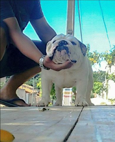 Disponível para cobertura