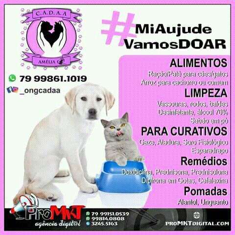 Urgente estamos precisando de ração