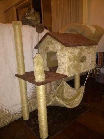Arranhador gato casinha com rede