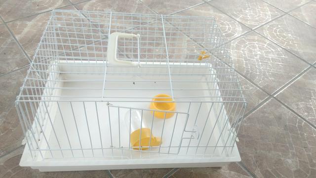 Gaiola para coelho e porquinho da índia