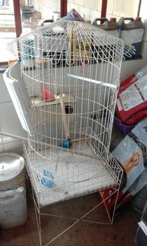 Viveiros com chocadeira