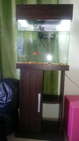 Aquário de 80 litros completo