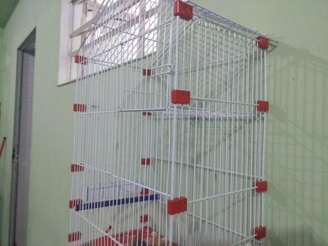 Gaiola nova para pássaros