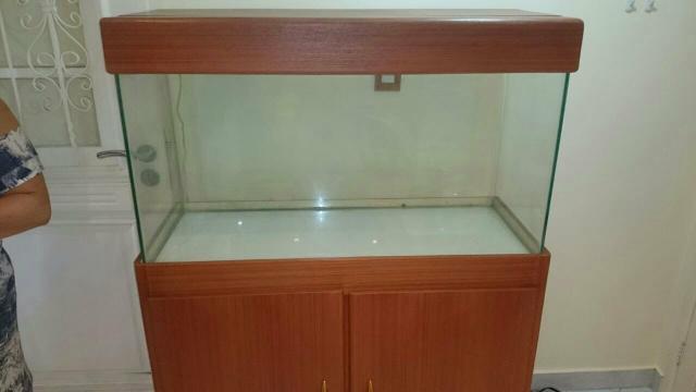 Aquário com móvel e tampa