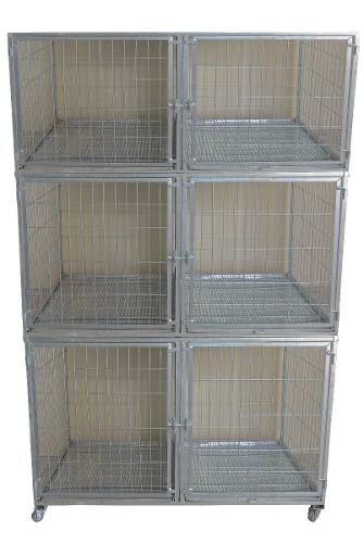 Gaiola Canil Cães E Gatos 6 Lugares Banho E Tosa Pet Shop
