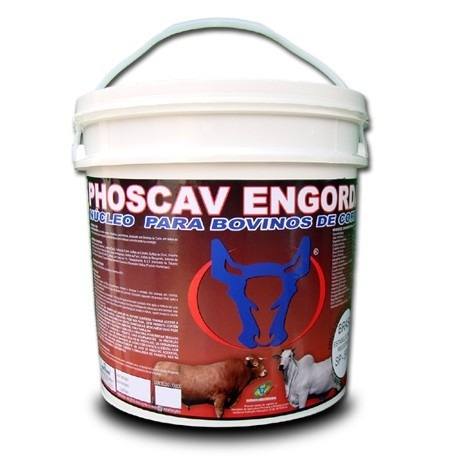 Phoscav Engorda 5kg - Núcleo Para Bovinos+brinde