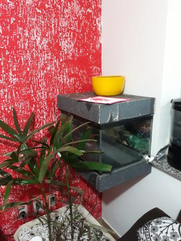 Aquario 65 litros vai com filtro