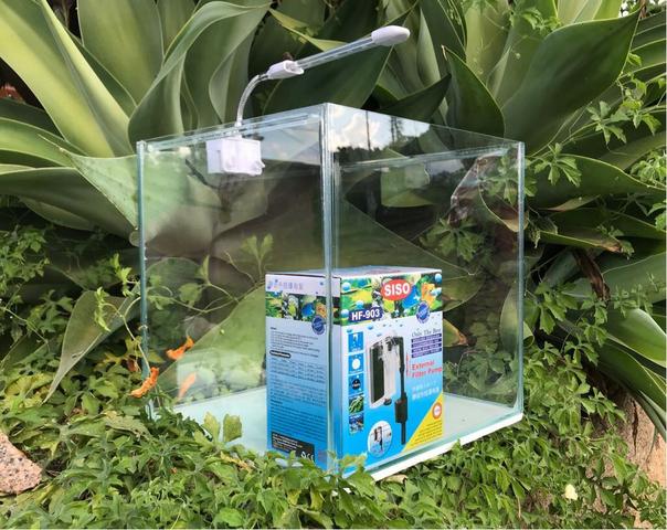 Super promoção* kit aquario cubo 30x30x30 + led clip lc35s + hf 906