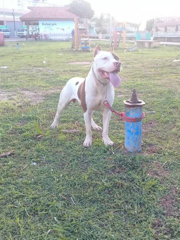 Disponível para Cruza