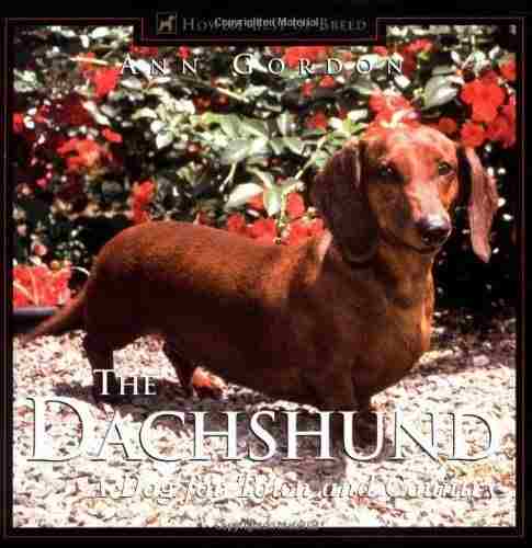 Dachshund, The: A Dog For Town And Country