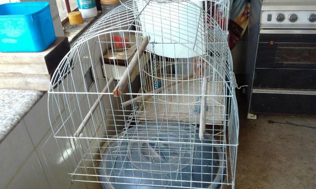 Gaiolas para calopsitas ou outros pássaros