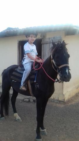 Manga Larga Marchador