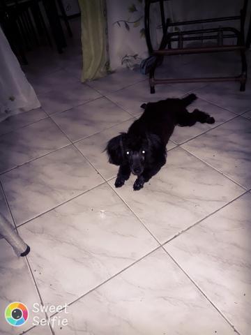 Procuro com urgência o nome dele é betove