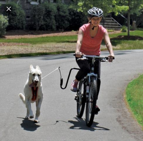 Springer bike dog - suporte para andar de bike com seu melhor smigo
