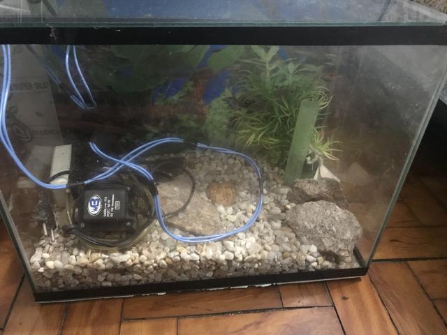 Aquario pouco uso