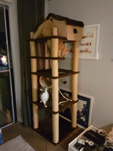 Casa arranhador castelo gato
